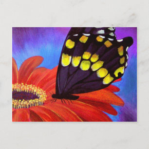 Postal Pintura de margarita de mariposa negra - múltiple