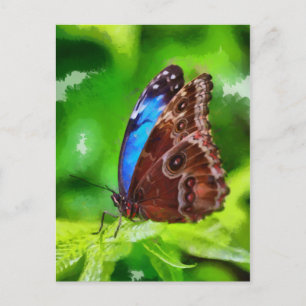 Postal Pintura de mariposa
