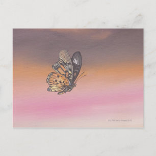 Postal Pintura de mariposa en vuelo