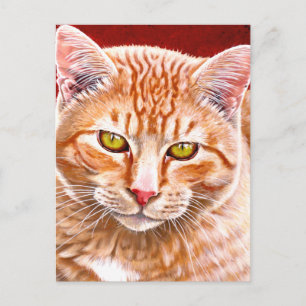 Postal Pintura de naranja Tabby