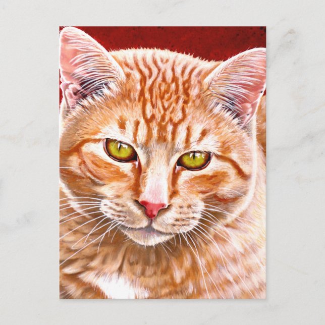 Postal Pintura de naranja Tabby (Anverso)