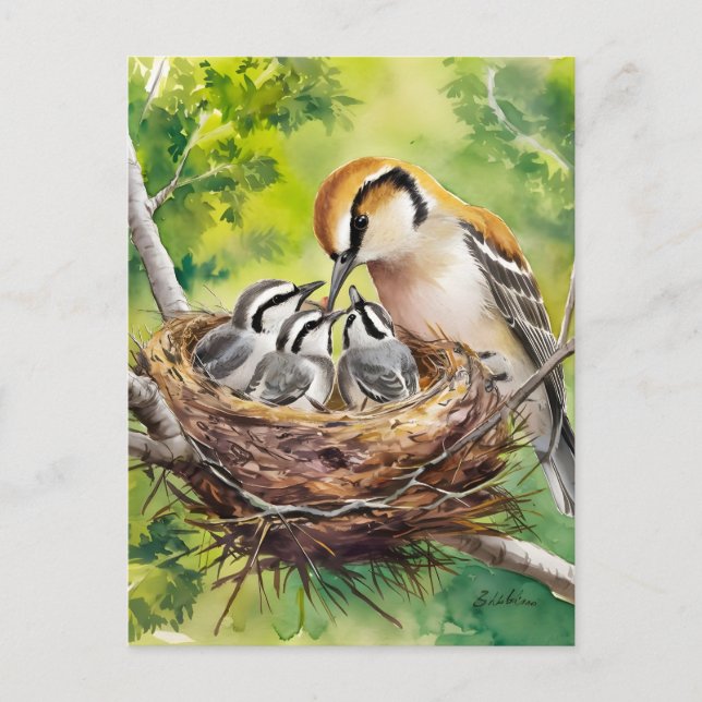 Postal Pintura de nido de pájaro dulce (Anverso)