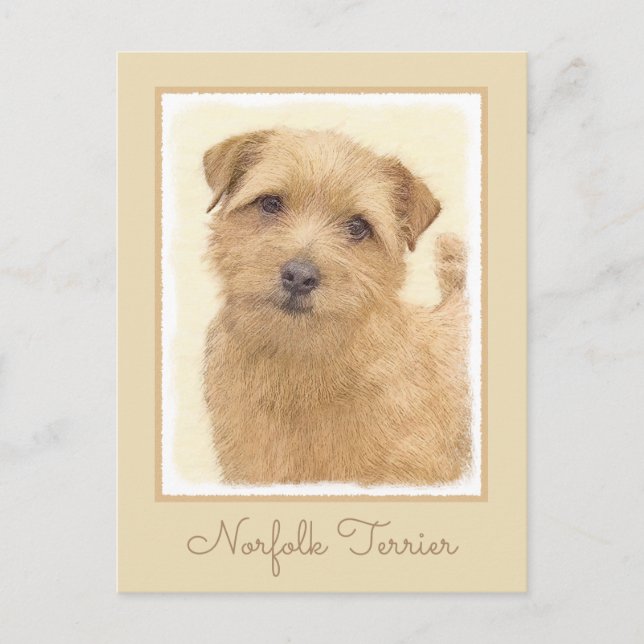 Postal Pintura de Norfolk Terrier - Arte Perro Original (Anverso)