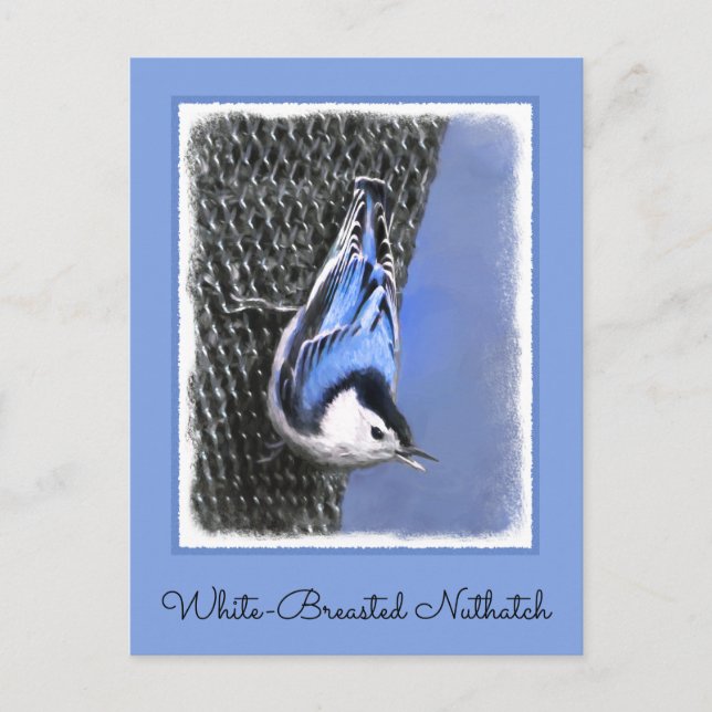 Postal Pintura de nueces de paja blanca original arte de  (Anverso)