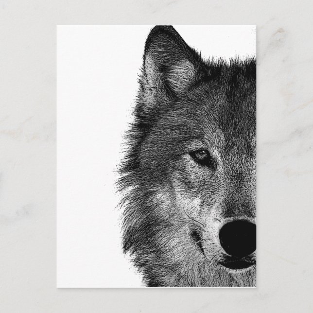 Postal Pintura de ojos de lobo blanco y negro (Anverso)