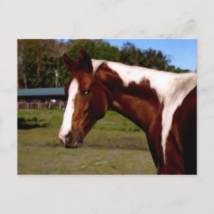 Postal Pintura de óleo de pintura con retrato de caballo