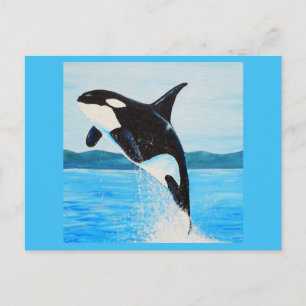 Postal Pintura de orca