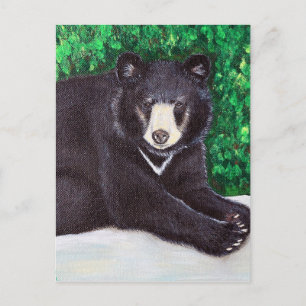 Postal Pintura de oso negro