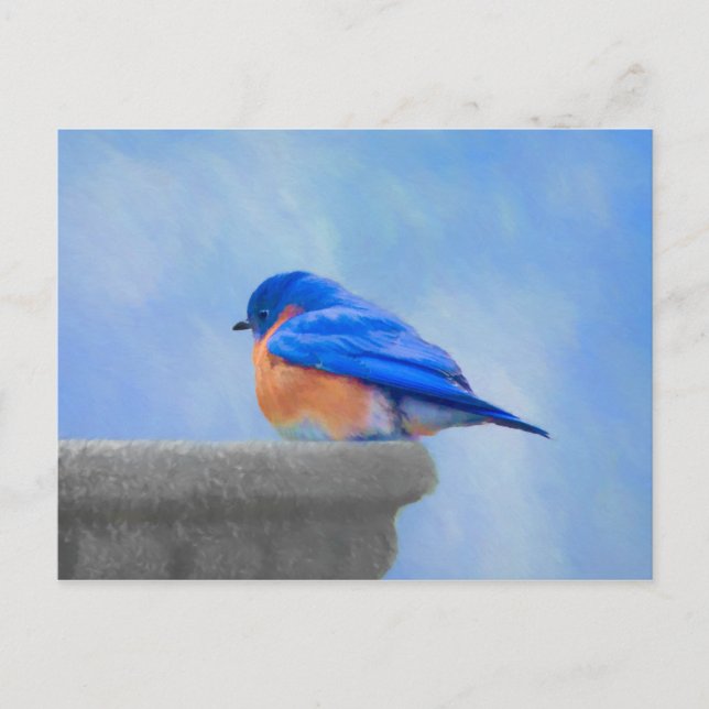Postal Pintura de pájaro azul - Arte original de aves (Anverso)