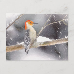 Postal Pintura de pájaro de madera roja