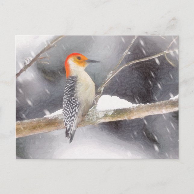 Postal Pintura de pájaro de madera roja (Anverso)