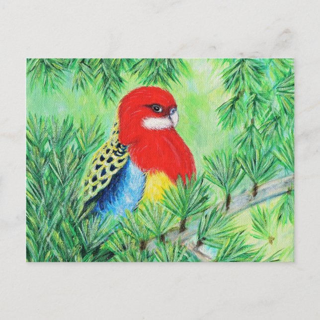 Postal Pintura de pájaro de Rosella (Anverso)