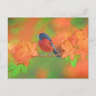 Postal Pintura de Pájaros Cantores Oriole de Huerta Arte