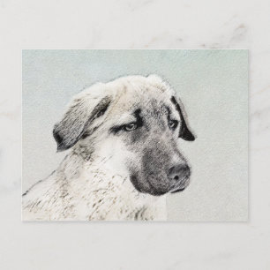 Postal Pintura de pastor anatoliano - Arte de perro origi