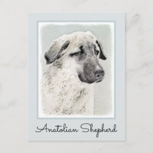 Postal Pintura de pastor anatoliano - Arte de perro origi