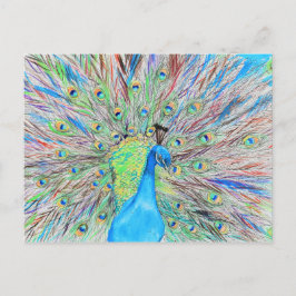 Postal Pintura de pavo real acuático