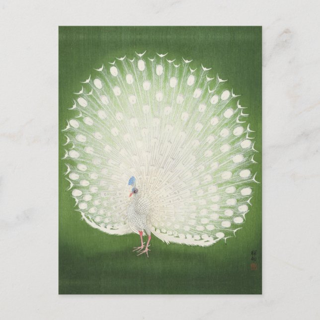 Postal Pintura de pavo real de Ohara Koson Postcard (Anverso)