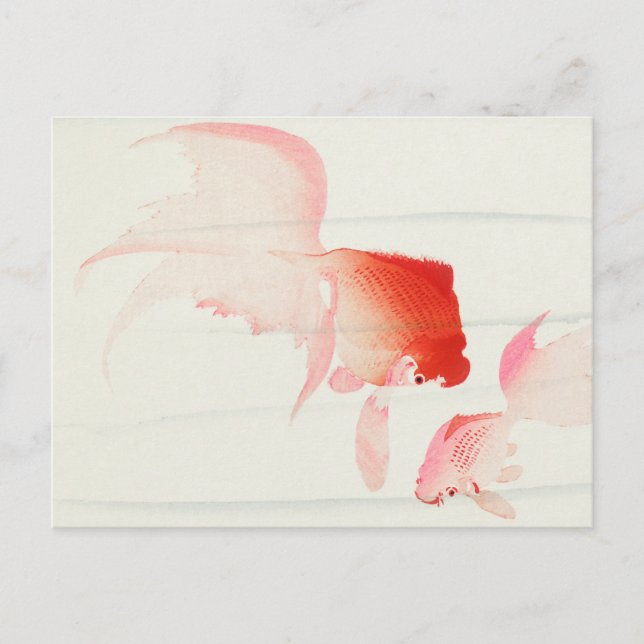 Postal Pintura de peces de oro de Ohara Koson (Anverso)