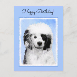 Postal Pintura de perro de agua portuguesa - Arte origina