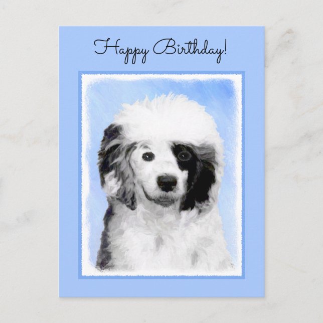 Postal Pintura de perro de agua portuguesa - Arte origina (Anverso)