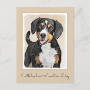 Postal Pintura de perro de la montaña Entlebucher - Arte