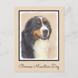 Postal Pintura de perro de montaña de Bernese - Arte de p