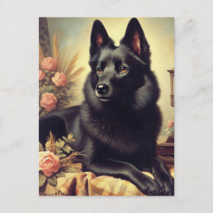 Postal Pintura de perro de Schipperke vintage