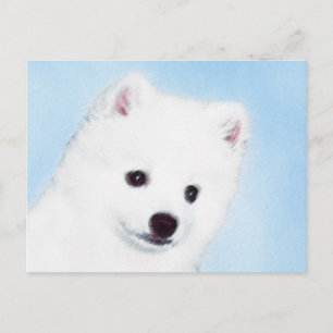 Postal Pintura de perro esquimal estadounidense - Arte de