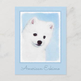 Postal Pintura de perro esquimal estadounidense - Arte de