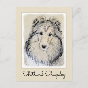 Postal Pintura de perro pastelero de Shetland - Arte de p