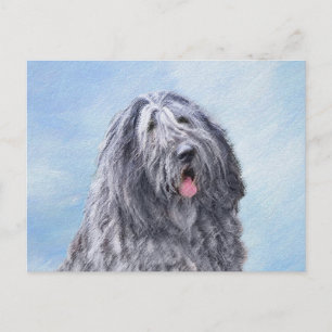 Postal Pintura de perro pastor de Bergamasco - Perro orig