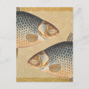 Postal pintura de pesca de carpa dibujo de agua dulce 