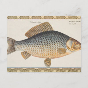 Postal pintura de pesca de carpa dibujo de agua dulce