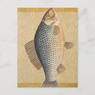 Postal pintura de pesca de carpa dibujo de agua dulce 