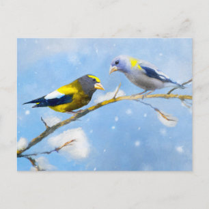 Postal Pintura de Picogordo Tarde - Original Arte de Perr
