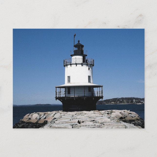 Postal Pintura de puntos de primavera (06) 4x6 (Anverso)