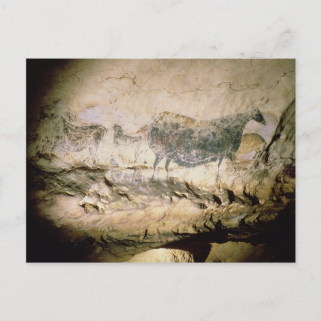 Postal Pintura de roca de una vaca negra, c.17000 a.C. (Anverso)