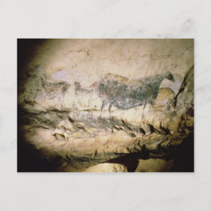 Postal Pintura de roca de una vaca negra, c.17000 a.C.