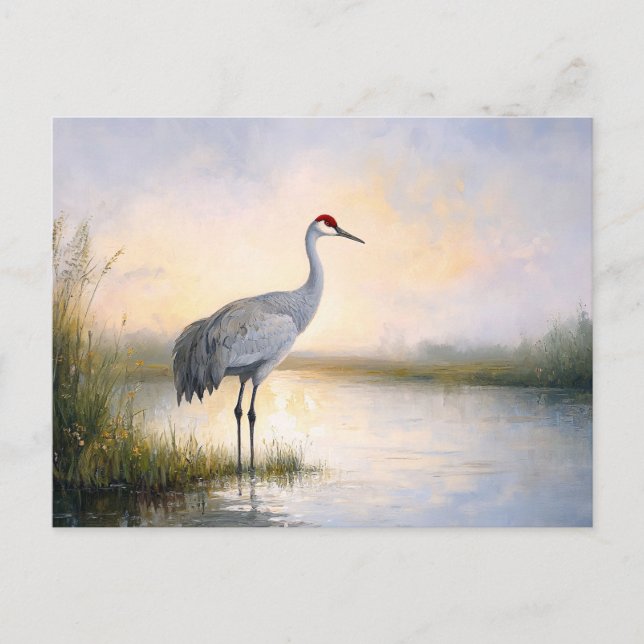 Postal Pintura de Sandhill Crane (Anverso)