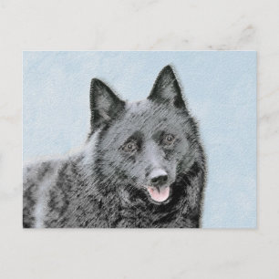 Postal Pintura de Schipperke - Arte Perro Original Cuto