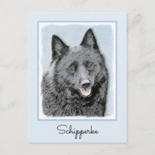 Postal Pintura de Schipperke - Arte Perro Original Cuto