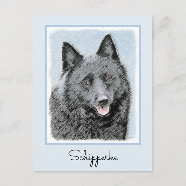 Postal Pintura de Schipperke - Arte Perro Original Cuto (Anverso)