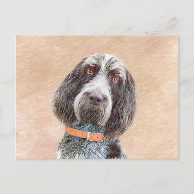Postal Pintura de Spinone Italiano - Arte de Perro Origin (Anverso)