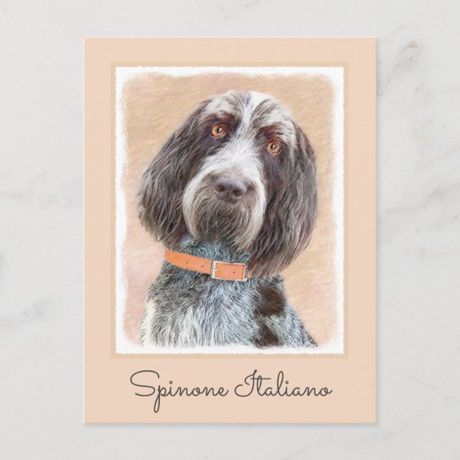 Postal Pintura de Spinone Italiano - Arte de Perro Origin (Anverso)