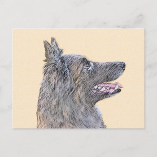 Postal Pintura de Tervuren belga - Arte de perro original