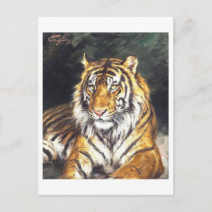 Postal Pintura de Tigre