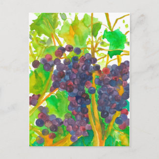 Postal Pintura de uvas de vino acuarela