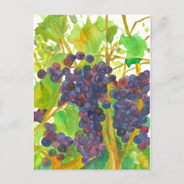 Postal Pintura de uvas de vino acuarela (Anverso)