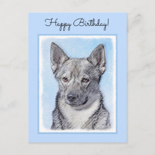 Postal Pintura de Vallhund Sueca - Arte Perro Original Cu