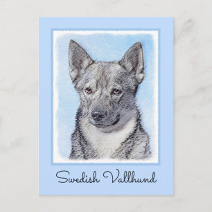 Postal Pintura de Vallhund Sueca - Arte Perro Original Cu